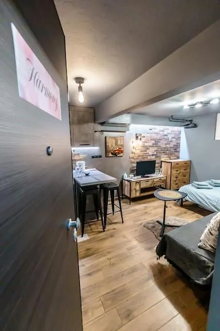 Harmony Studio With Terrace. Thessaloniki Apartment